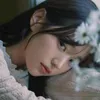 vcxqzdt