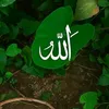 gulam.hassain231