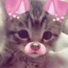 abigail_whittaker