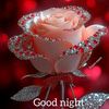 user93199359408021