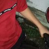 yandell66