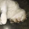 wowoowwowaaaaww
