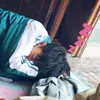 toilahai16