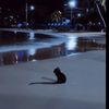 haylokittay