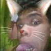 ichaimupbgt