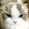 emhayovtk_