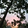 dwijayantii24