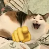 gioi_ngich_ngu