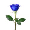 arifamustafa44
