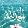 user15273127971