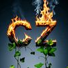 carlosz6072
