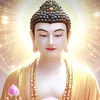 tuyenguyenhuu1