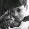 sillykitten.1st