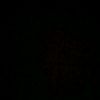 faridaallam59