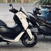 nemaxs_bw
