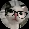 kim.ngoan178