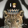 iqro.xassan73