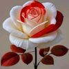 rangerspink630