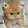 elya82899