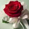 totaa2327