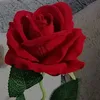 user25240336562927