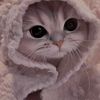 hom.ngin493