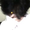 phyo.24680