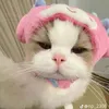 bepheno2