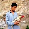 hamza.noon00