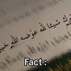 nolove125463