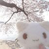 xxinko9