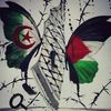 lokman.arabe