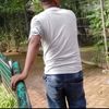 ho.majolo