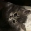 nsjsmjsmm