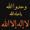 user446785273459