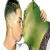 lasion17