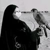 الشيــهانــ⃪ـ℘ـه ℬ-⁵²