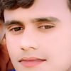 gull.sheer.chacha