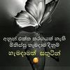 user6208131754553