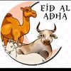 ihsanmuhammad2605