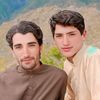 bacha.rahman844