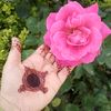 farwa.khan.190420