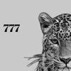 eingz55