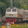 risangzd7