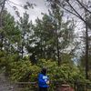 nurullhasanah44