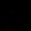benja_saade7