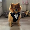 chiikkoo2