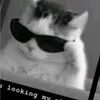 nngoc_quien