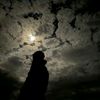 morad_c_44