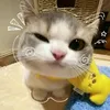 jnllxvellee